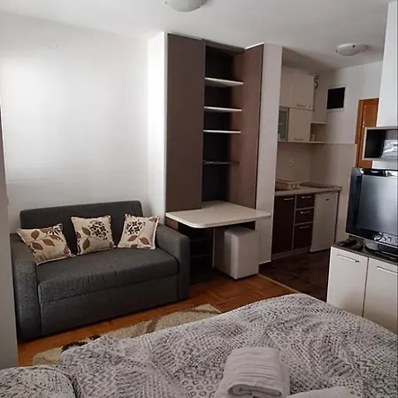 Zlatiborski Konaci K17 I K19 アパート ズラティボール