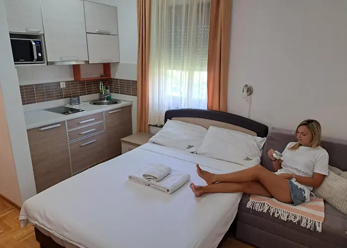 Zlatiborski Konaci K17 I K19 *